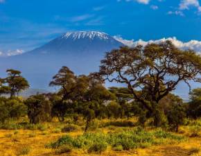 Dotkn Kilimandaro - wyprawa, jakiej jeszcze nie byo! Marzenia nie maj granic 